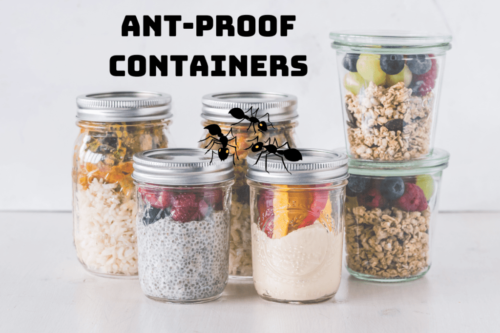 9 Best AntProof Food Containers For Home [2023 Reviews] Pest Circle