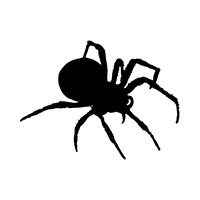 Does Febreze Kill Spiders?