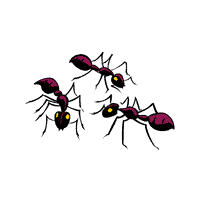 Does Febreze Kill Ants