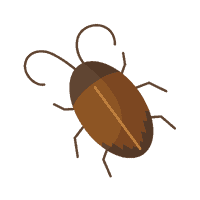 Does Febreze Kill Cockroaches?