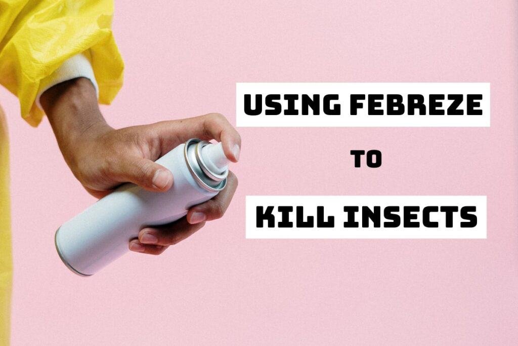 Using Febreze to Kill Insects [The Complete Guide]