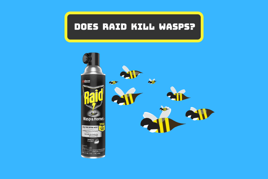 Does Raid Kill Wasps? Get the Answer Here! Pest Circle